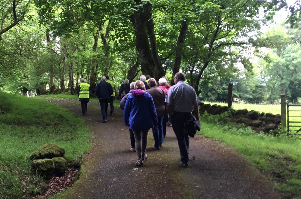 Join us for a Summer Walk?